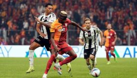 aslan hucumda kartal savunmada iyi Kw33q6Jn